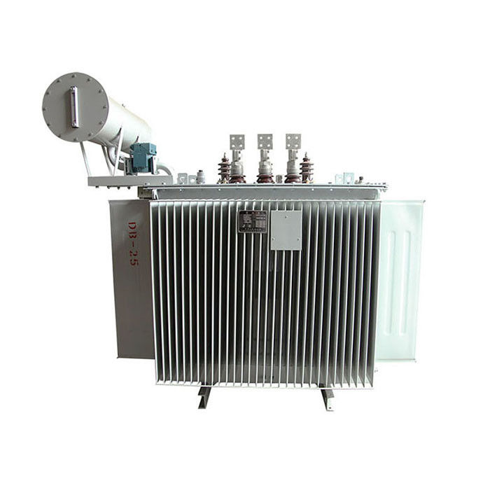Oil Immersed Transformer (100-1600) kVA untuk Pasar Rusia, dengan Aksesoris pemasok